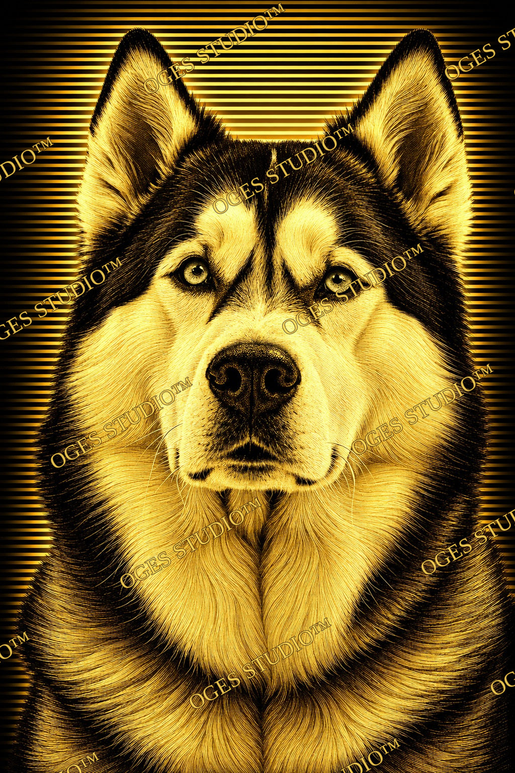 Golden Husky Portrait